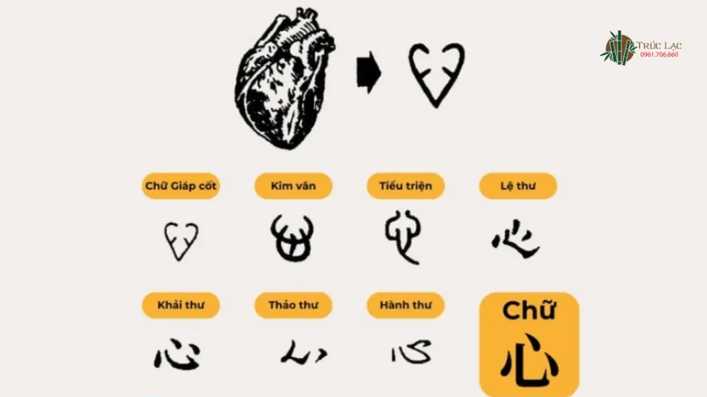 Nguồn gốc và ý nghĩa chữ Tâm (心) 2 chữ Tâm